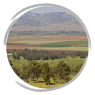 Campos em Israel